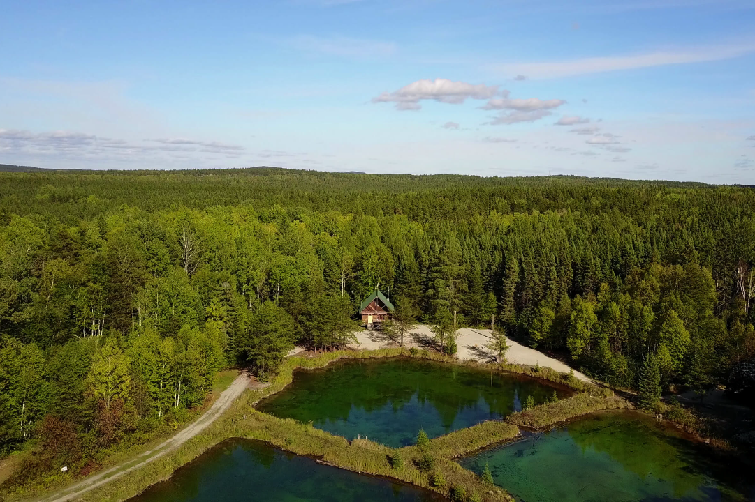 Chalet éco et forêt