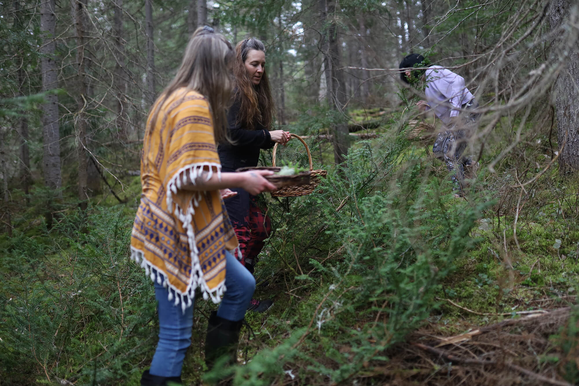 Cueillette de groupe avec La coureuse des bois