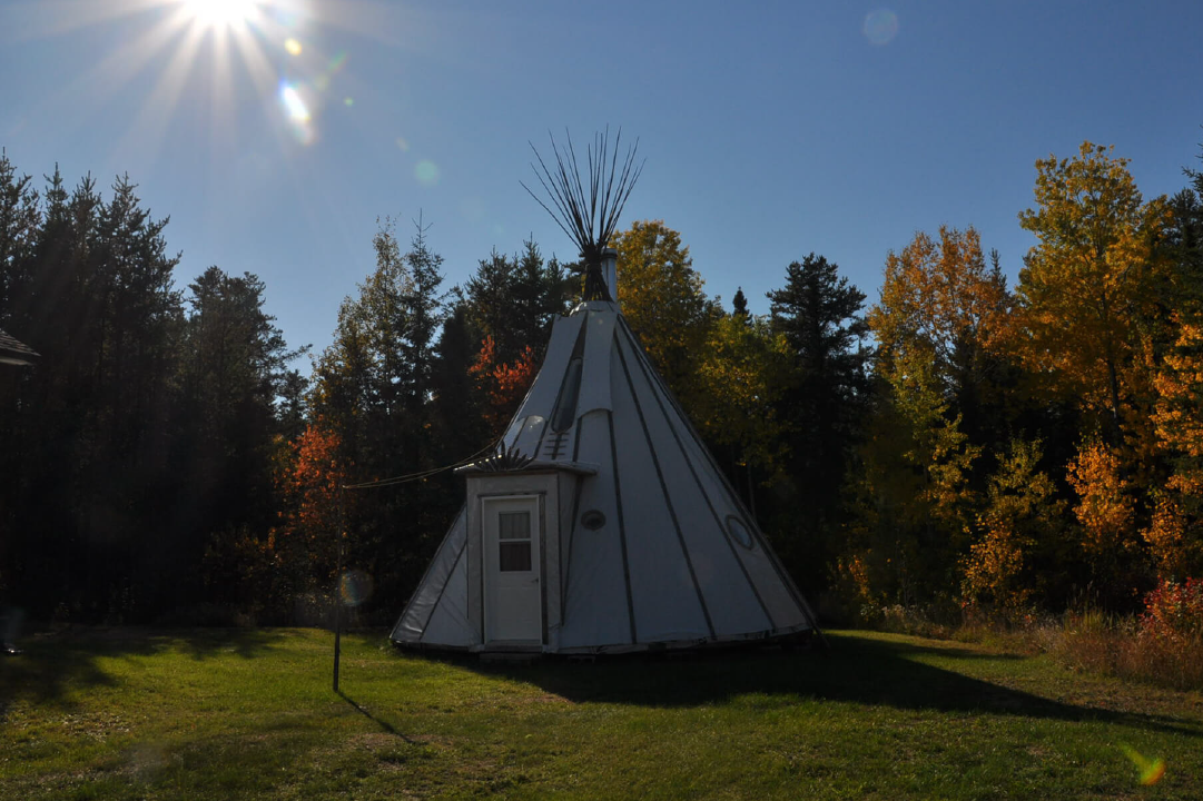 Tipi et forêt