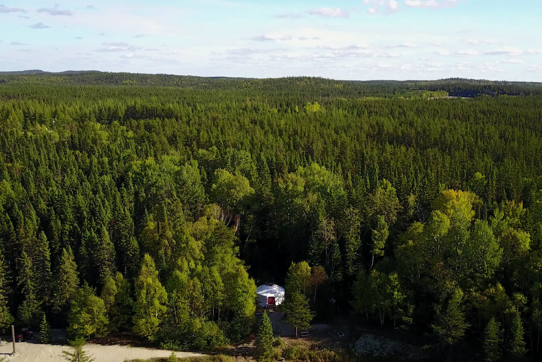 Yourte et forêt